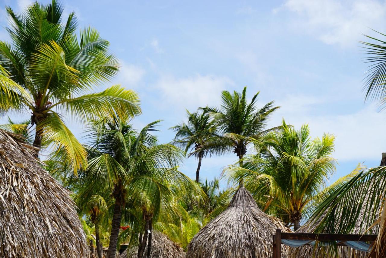 Boca Simon Vacation Curacao 호텔 빌렘스타트 외부 사진
